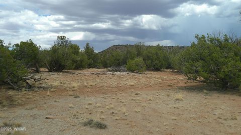 Tiny photo for 2716 Zaidee Road, Show Low, AZ 85901 (MLS # 257473)