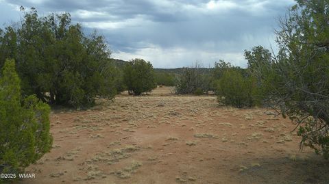 Tiny photo for 2716 Zaidee Road, Show Low, AZ 85901 (MLS # 257473)
