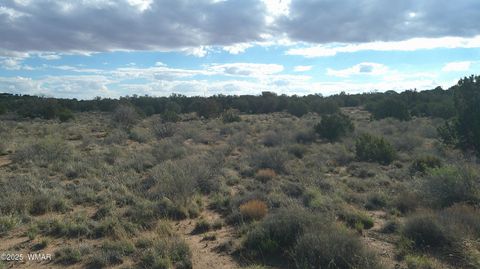 Tiny photo for 4123 W Juniper Road, Snowflake, AZ 85937 (MLS # 258218)