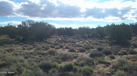 Tiny photo for 4123 W Juniper Road, Snowflake, AZ 85937 (MLS # 258218)