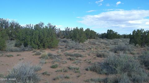 Tiny photo for 4123 W Juniper Road, Snowflake, AZ 85937 (MLS # 258218)