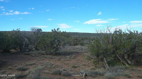 Tiny photo for 4123 W Juniper Road, Snowflake, AZ 85937 (MLS # 258218)