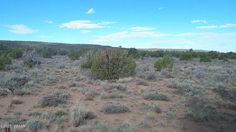 Tiny photo for 4123 W Juniper Road, Snowflake, AZ 85937 (MLS # 258218)