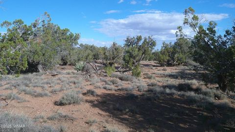 Tiny photo for 4123 W Juniper Road, Snowflake, AZ 85937 (MLS # 258218)