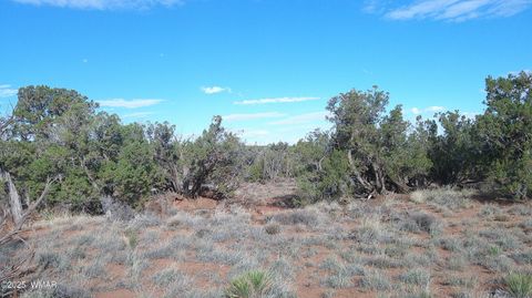Tiny photo for 4123 W Juniper Road, Snowflake, AZ 85937 (MLS # 258218)