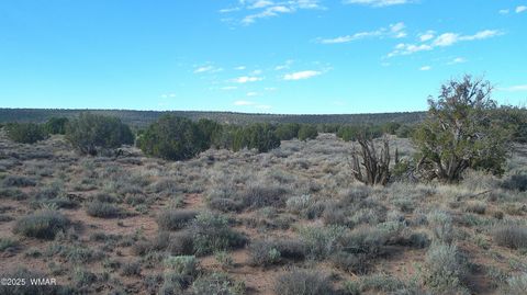 Tiny photo for 4123 W Juniper Road, Snowflake, AZ 85937 (MLS # 258218)