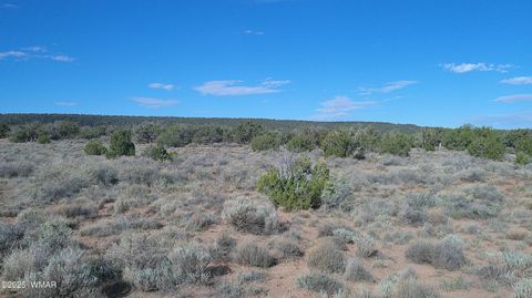 Tiny photo for 4123 W Juniper Road, Snowflake, AZ 85937 (MLS # 258218)