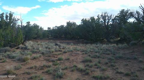 Tiny photo for 4123 W Juniper Road, Snowflake, AZ 85937 (MLS # 258218)
