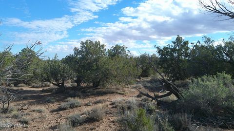 Photo of 4123 W Juniper Road, Snowflake, AZ 85937 (MLS # 258218)
