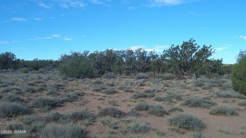 Tiny photo for 4123 W Juniper Road, Snowflake, AZ 85937 (MLS # 258218)