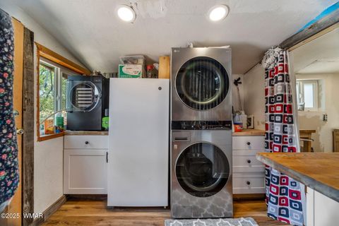Tiny photo for 96 Co Rd 2180, Nutrioso, AZ 85932 (MLS # 256660)