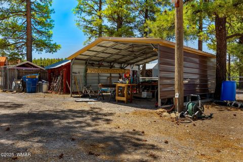 Tiny photo for 96 Co Rd 2180, Nutrioso, AZ 85932 (MLS # 256660)