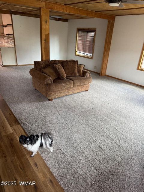 Tiny photo for 96 Co Rd 2180, Nutrioso, AZ 85932 (MLS # 256660)
