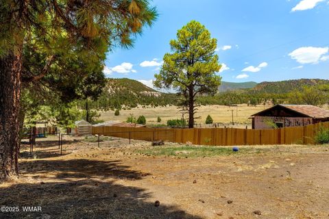Tiny photo for 96 Co Rd 2180, Nutrioso, AZ 85932 (MLS # 256660)
