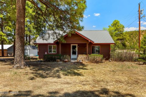 Tiny photo for 96 Co Rd 2180, Nutrioso, AZ 85932 (MLS # 256660)