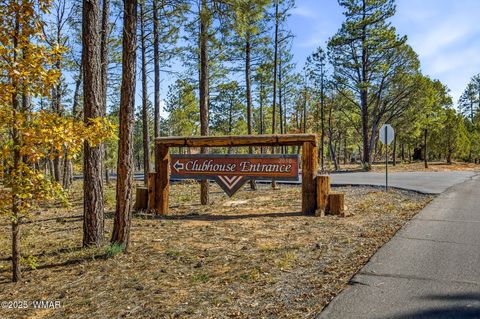 Tiny photo for 4340 S Mogollon Trail, Show Low, AZ 85901 (MLS # 259656)