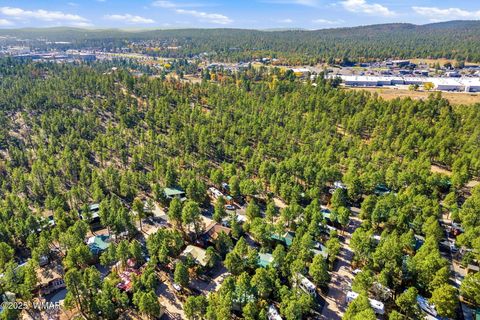 Tiny photo for 4340 S Mogollon Trail, Show Low, AZ 85901 (MLS # 259656)