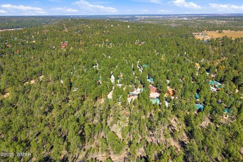 Tiny photo for 4340 S Mogollon Trail, Show Low, AZ 85901 (MLS # 259656)