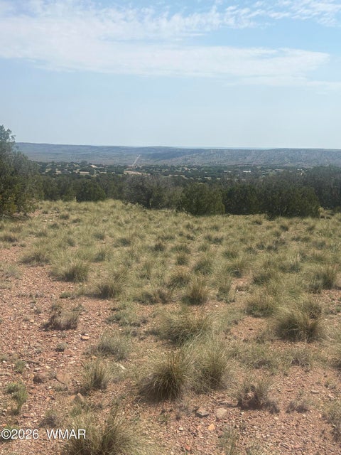 Tiny photo for 5070 Pina Drive #25, Concho, AZ 85924 (MLS # 262637)