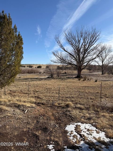 Tiny photo for 16 Mellon Lane (County Road 5099), Concho Valley, AZ 85924 (MLS # 259368)