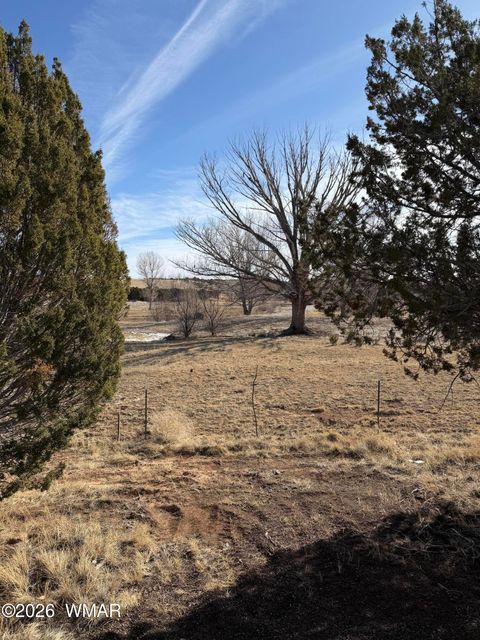 Tiny photo for 16 Mellon Lane (County Road 5099), Concho Valley, AZ 85924 (MLS # 259368)