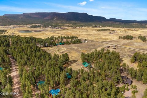 Tiny photo for 7 County Road 2312, Alpine, AZ 85920 (MLS # 255794)