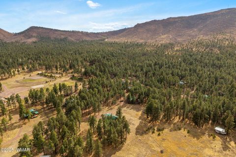 Tiny photo for 7 County Road 2312, Alpine, AZ 85920 (MLS # 255794)