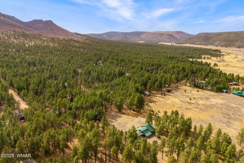 Tiny photo for 7 County Road 2312, Alpine, AZ 85920 (MLS # 255794)