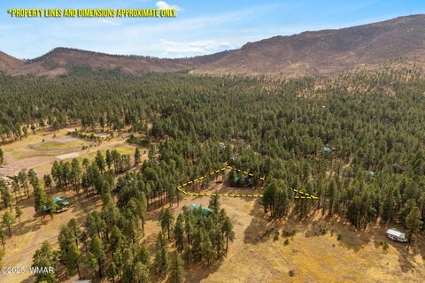 Tiny photo for 7 County Road 2312, Alpine, AZ 85920 (MLS # 255794)