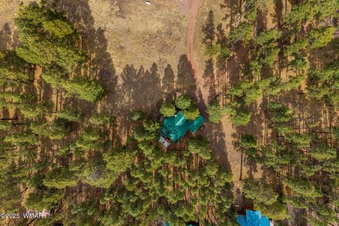 Tiny photo for 7 County Road 2312, Alpine, AZ 85920 (MLS # 255794)
