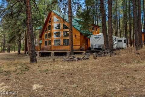 Tiny photo for 7 County Road 2312, Alpine, AZ 85920 (MLS # 255794)