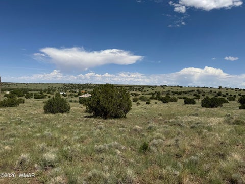 Tiny photo for 168 CR 5201, Concho, AZ 85924 (MLS # 262945)