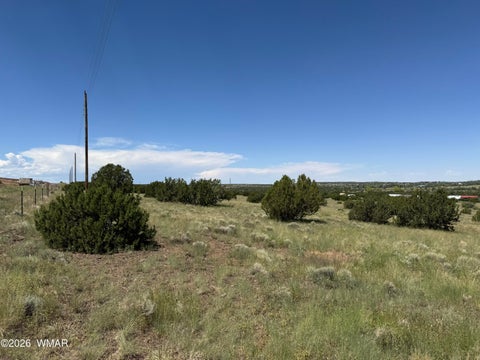 Tiny photo for 168 CR 5201, Concho, AZ 85924 (MLS # 262945)