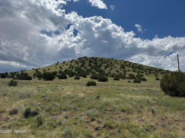 168 CR 5201 Concho AZ 85924