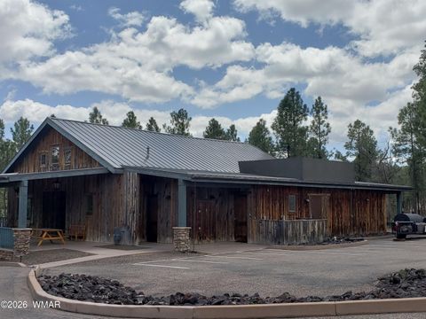 Tiny photo for 3170 W Lodgepole Lane, Show Low, AZ 85901 (MLS # 259414)