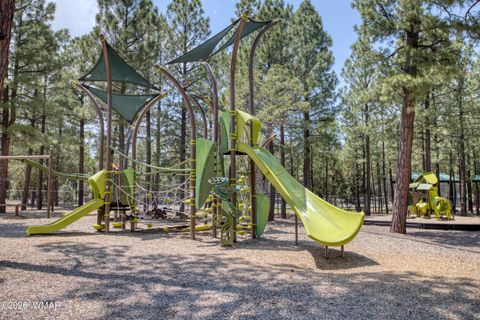 Tiny photo for 3170 W Lodgepole Lane, Show Low, AZ 85901 (MLS # 259414)