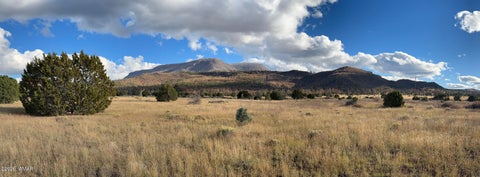 Tiny photo for 69 N2006, Nutrioso, AZ 85932 (MLS # 263652)