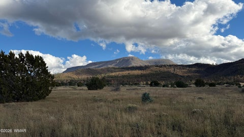 Tiny photo for 69 N2006, Nutrioso, AZ 85932 (MLS # 263652)