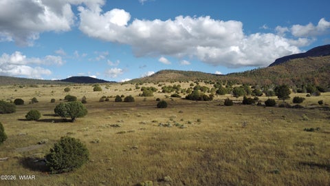 Tiny photo for 69 N2006, Nutrioso, AZ 85932 (MLS # 263652)