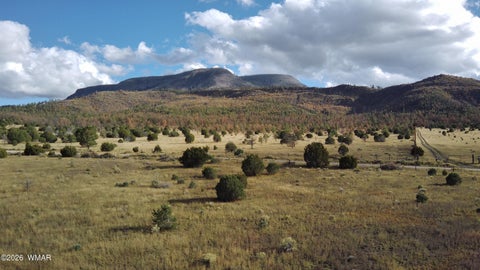 Tiny photo for 69 N2006, Nutrioso, AZ 85932 (MLS # 263652)