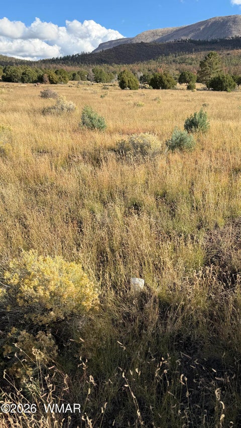 Tiny photo for 69 N2006, Nutrioso, AZ 85932 (MLS # 263652)