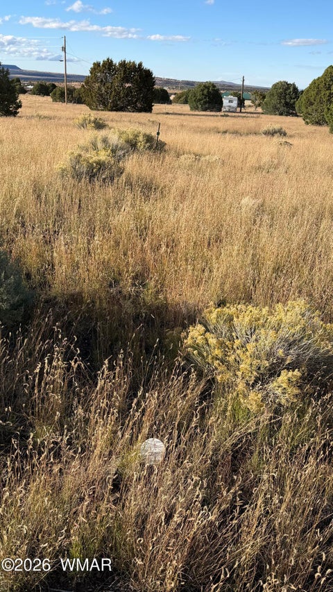 Tiny photo for 69 N2006, Nutrioso, AZ 85932 (MLS # 263652)
