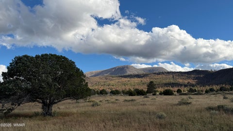 Photo of 69 N2006, Nutrioso, AZ 85932 (MLS # 263652)