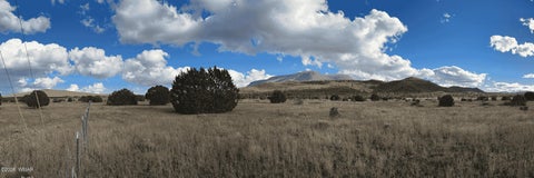 Tiny photo for 69 N2006, Nutrioso, AZ 85932 (MLS # 263652)