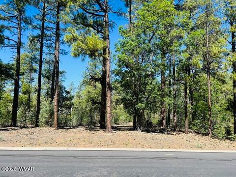Photo of 1771 W Snow Creek Loop, Show Low, AZ 85901 (MLS # 261186)