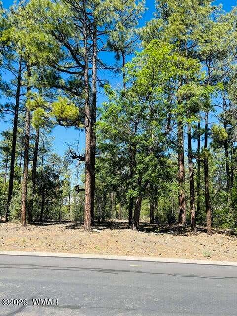 Tiny photo for 1771 W Snow Creek Loop, Show Low, AZ 85901 (MLS # 261186)