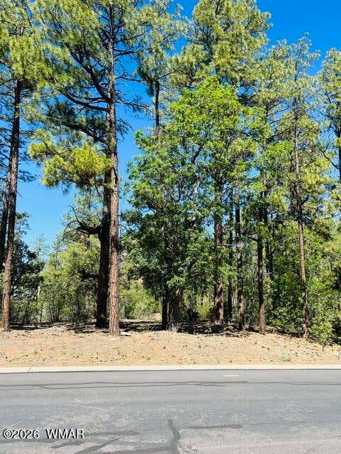 Tiny photo for 1771 W Snow Creek Loop, Show Low, AZ 85901 (MLS # 261186)