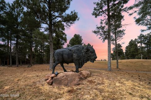 Tiny photo for 120 N Retreat Drive, Show Low, AZ 85901 (MLS # 258460)