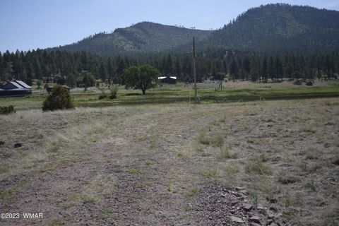 Tiny photo for TBD CR 2269, Nutrioso, AZ 85932 (MLS # 248079)