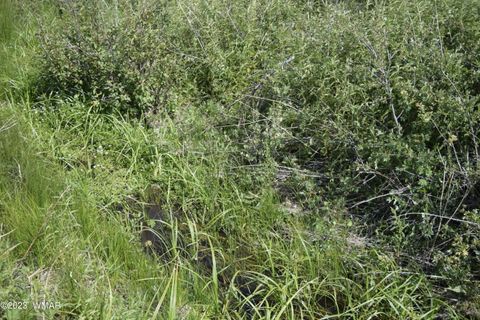 Tiny photo for TBD CR 2269, Nutrioso, AZ 85932 (MLS # 248079)